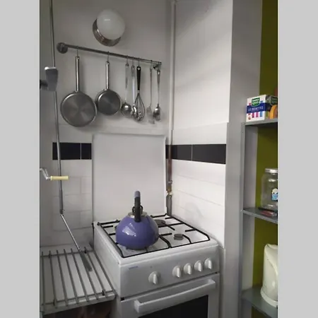 Luxurious Apartments For A Family *